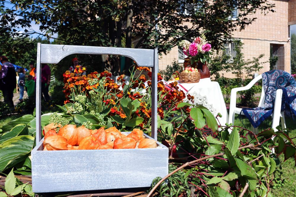 Праздник «Гагаринского сада» Праздник «Гагаринского сада»