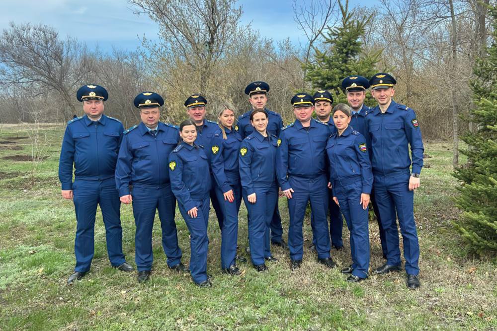 Посади дерево Посади дерево