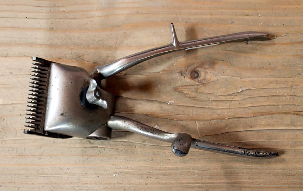 История одного предмета. Ручная машинка для стрижки волос Алексея Ивановича Гагарина История одного предмета. Ручная машинка для стрижки волос Алексея Ивановича Гагарина