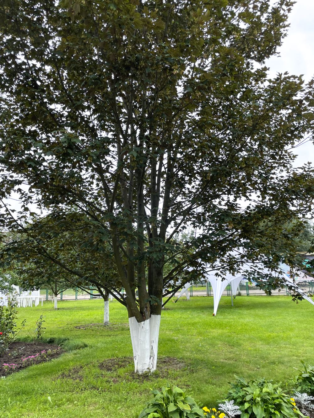 Гагаринский сад 13 Гагаринский сад. Экскурсия