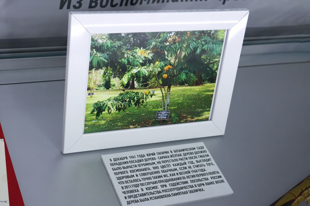 Самовар на орбите. Цейлон