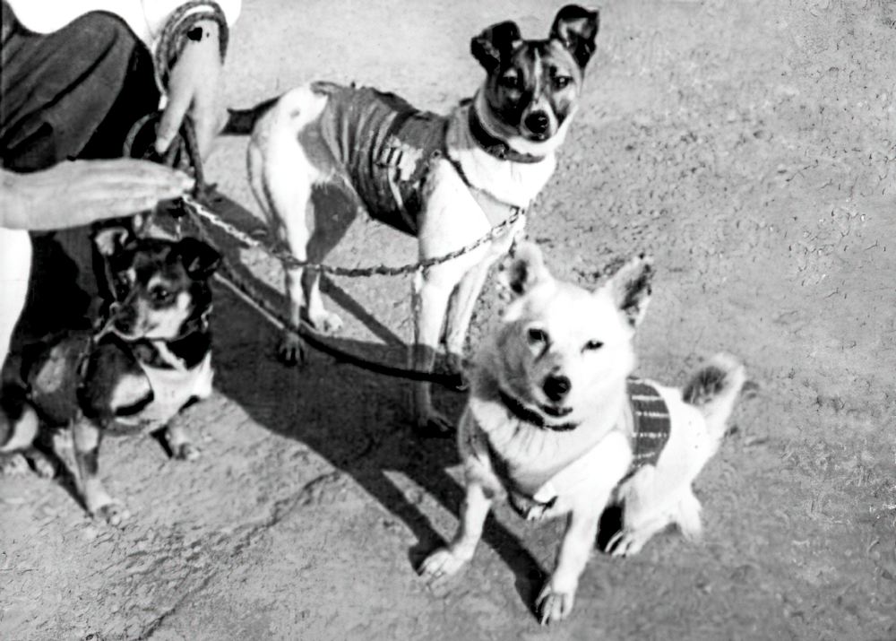 На прогулке.