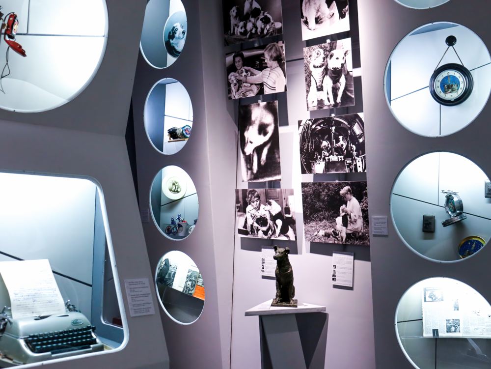 Выставка «Четвероногие «космонавты»