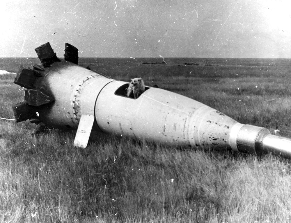 Удачное приземление Отважной. Удачное приземление Отважной.