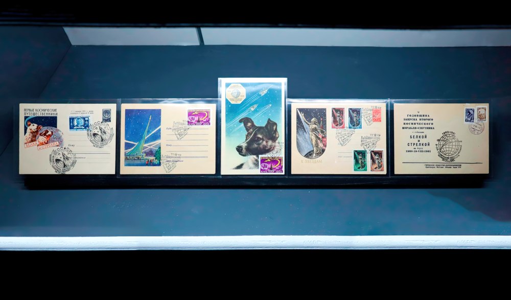 Выставка «Четвероногие «космонавты»