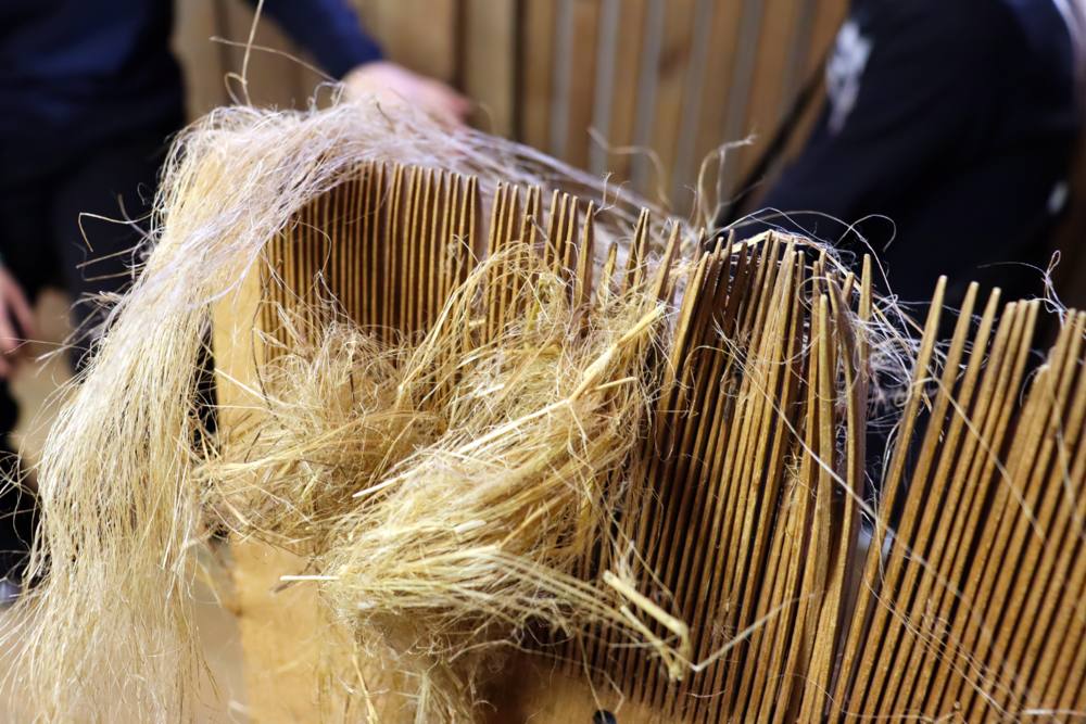 Гжатская льняница