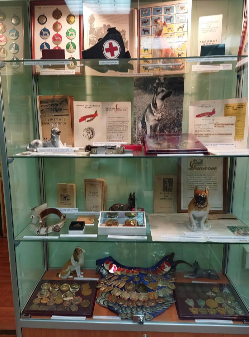 Музей, посвящённый собаке… 2.-gigapixel-standard-width-800px.jpeg