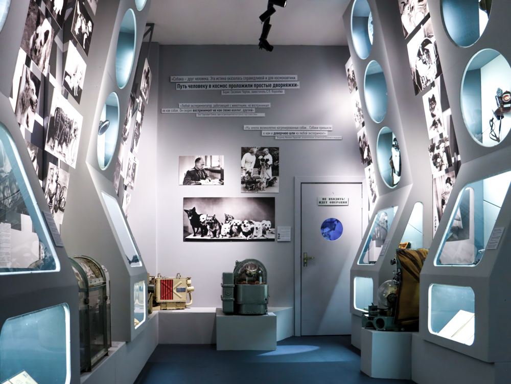 Выставка «Четвероногие «космонавты»