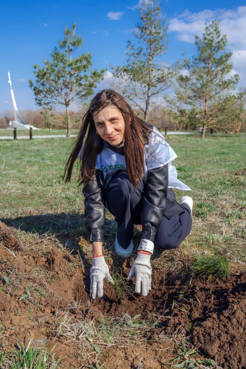 Посади дерево Посади дерево